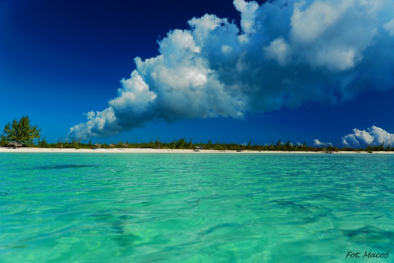 Zdjęcia: Cayo Largo, Cayo Largo, Cygaro ???, KUBA Zdjęcia: Cayo Largo, Cayo Largo, Cygaro ???, KUBA