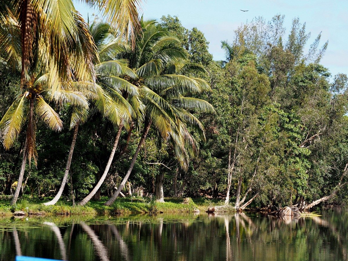 Zdjęcia: Półwysep Zapata, płd. Kuba, Laguna del Tesoro, KUBA Zdjęcia: Półwysep Zapata, płd. Kuba, Laguna del Tesoro, KUBA