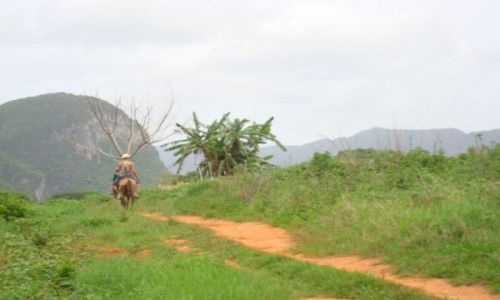Zdjcie KUBA / - / Viniales / horseback..wyprawa na plantacje