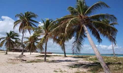 Zdjecie KUBA / - / Playa Santa Lucia / Plaa jak ze snw