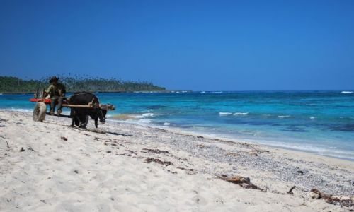 Zdjecie KUBA / Baracoa / Baracoa / 