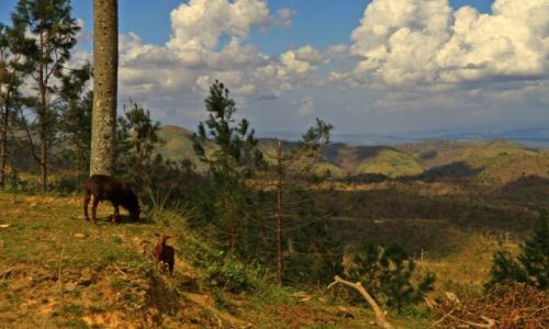 Zdjęcie KUBA / środkowa Kuba / niedaleko Bacanao / Okolice Gran Piedra