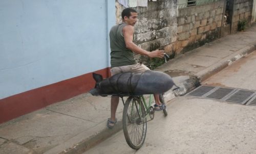 Zdjecie KUBA / Provincia de Guantnamo / Baracoa / winka na rowerze