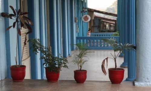 Zdjcie KUBA / Vinales / Vinales / Pod arkadami