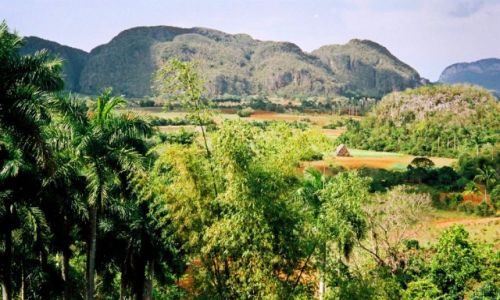 Zdjcie KUBA / Pinar del Rio /   / Tytoniowe pola