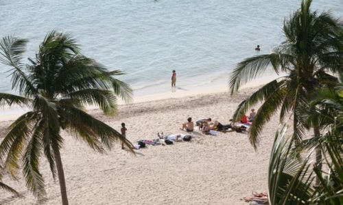 Zdj�cie KUBA / Sancti Spiritus / Trynidad de Cuba / Pla�a pod palmami