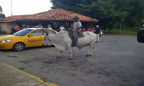 Zdjecie KUBA / - / Valle de Vinales / Pinar del Rio