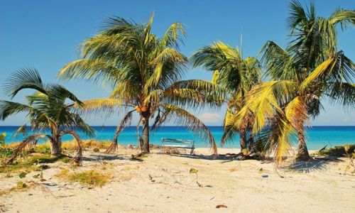 Zdjęcie KUBA / varadero / varadero / paradise