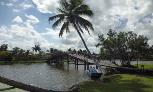 Zdjęcie KUBA / Kuba południowa / Zapata / KUBA