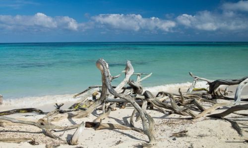 Zdjecie KUBA / prowincja Pinar del Rio / Cayo Jutias / Rajska plaa na pnocnym wybrzeu