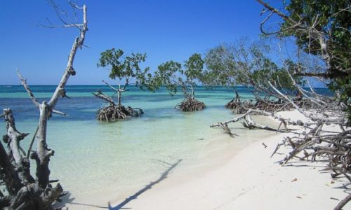 Zdjecie KUBA / prowincja Pinal del Rio / Playa Jutias / Playa Jutias