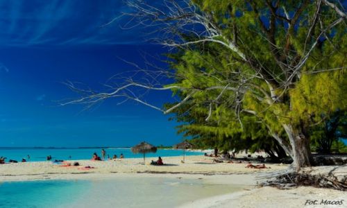 Zdjęcie KUBA / Cayo Largo / Cayo Largo / Plażowanie czas zacząć