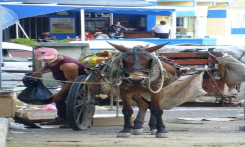 Zdjecie KUBA / Kuba / Havana / zycie lekkie nie jest