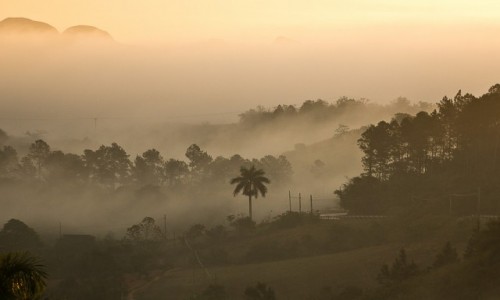 Zdjcie KUBA / Pinal del Rio / Vinales / Wstaj mgy