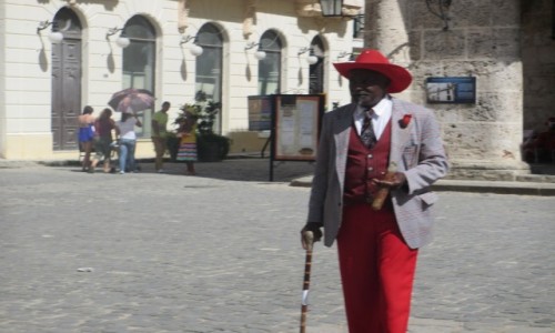 Zdjcie KUBA / Havana  / Havana Vieha / Cubano z Placu Katedralnego