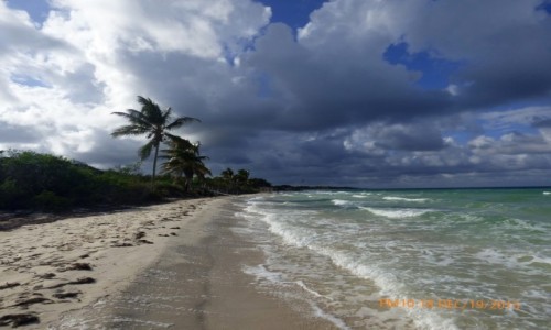 Zdjcie KUBA / Jardines del Rey / cayo coco / Cayo Coco