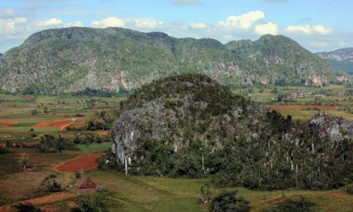 Zdjcie KUBA / Pinar del Rio / Park Narodowy Vinales / Zielone mogoty