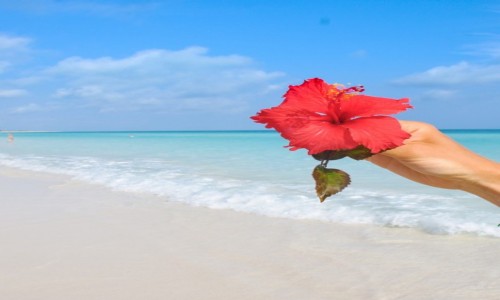 Zdjecie KUBA / - / HAWANA / CAYO SANTA MARIA