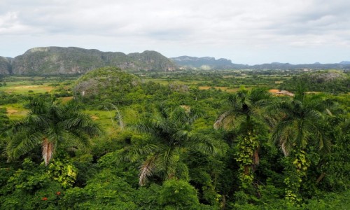 Zdjcie KUBA / Pinar del Ro,  zachodnia Kuba / Valle de Vinales / Dolina Vinales