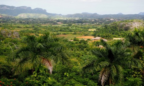 Zdjcie KUBA / Pinar del Ro,  zachodnia Kuba / Valle de Vinales / Dolina Vinales