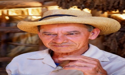 Zdjęcie KUBA / Pinar del Río, zachodnia Kuba / na plantacji tytoniu / Farmer