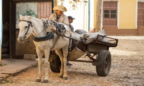 Zdjcie KUBA / Sancti Spiritus / Trinidad / Dostawca towaru 