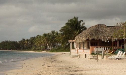 Zdjecie KUBA / Prowincja Matanzas / Playa Larga / Zatoka wi