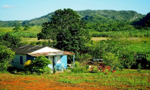 Zdjcie KUBA / zachodnia Kuba / Pinar del Ro / Valle de Vinales
