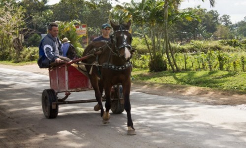 Zdjcie KUBA / Prowincja Pinar del Rio / Vinales / Taxi