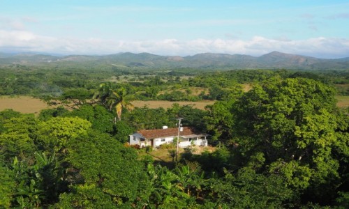 Zdjcie KUBA / poudniowa Kuba / Valle de los Ingenios / Dolina cukrowa