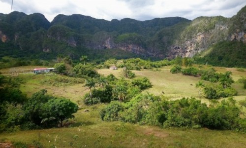 Zdjcie KUBA / Pinar del Rio / Vinales / Mogoty w dolinie