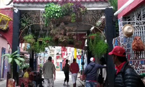 Zdjecie KUBA / Hawana / Hawana / Callejon de Hamel