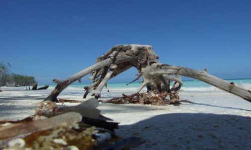 Zdjecie KUBA / brak / Cayo Blanco / Rajska plaa