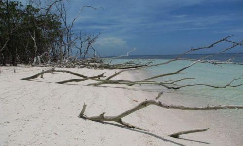 Zdjęcie KUBA / polnocnz archipelag / kuba / playa