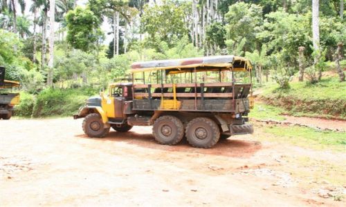 Zdjęcie KUBA / Guanajara / Guanajara Park / Park Guanajara