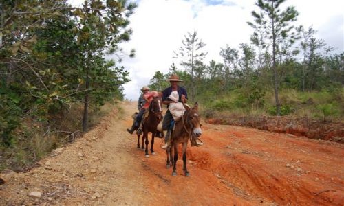 Zdjcie KUBA / Vinales / Vinales / Guajiros
