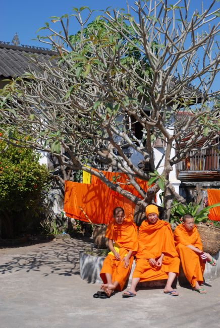 Zdjęcia: Luang Prabang, mnisi, LAOS Zdjęcia: Luang Prabang, mnisi, LAOS