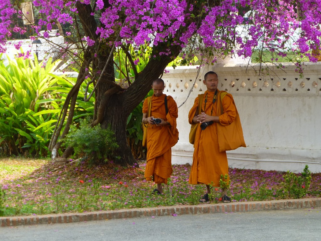 Zdjęcia: ..., ...., Mnisi na pielgrzymce, LAOS Zdjęcia: ..., ...., Mnisi na pielgrzymce, LAOS