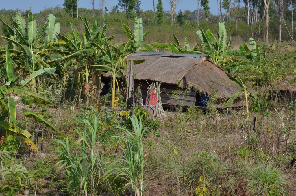 Zdjęcia: Laos, Lokum wśród zieleni, LAOS Zdjęcia: Laos, Lokum wśród zieleni, LAOS