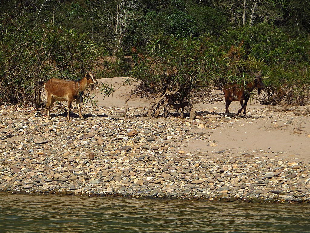 Zdjęcia: okolice Nong Khiaw, Laos północny, przełomy rzeki Ou, LAOS Zdjęcia: okolice Nong Khiaw, Laos północny, przełomy rzeki Ou, LAOS