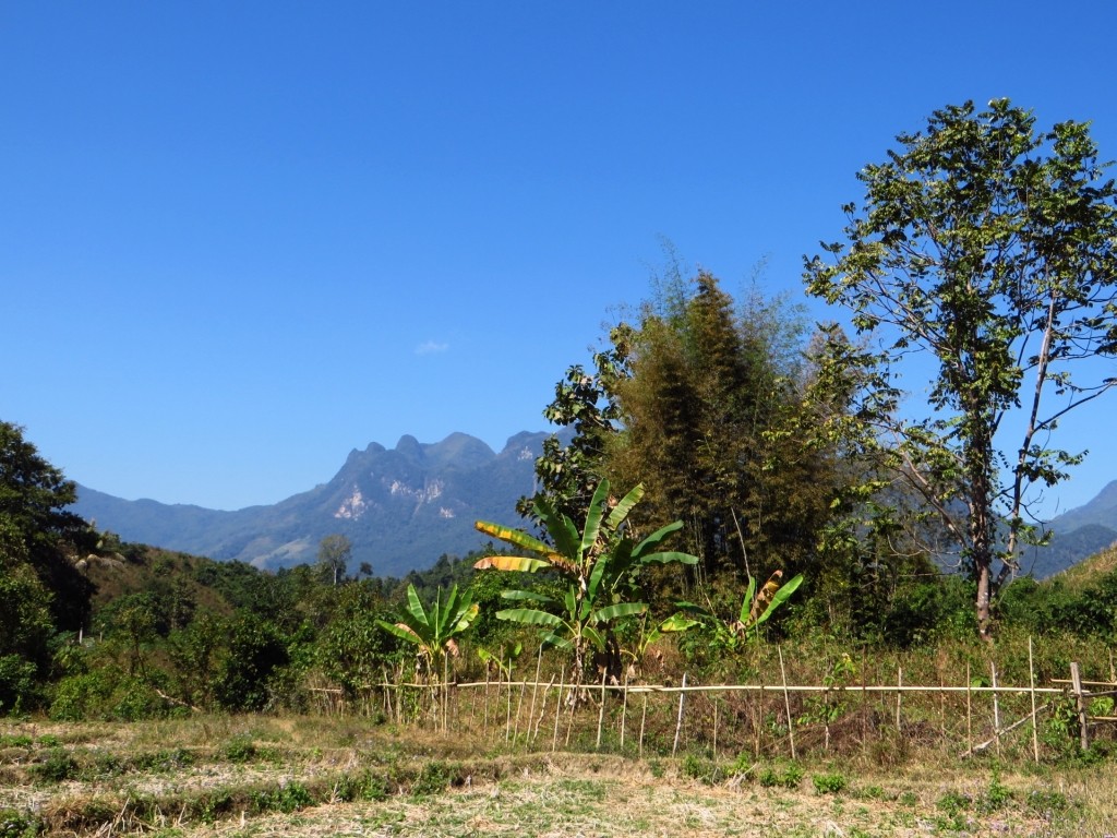 Zdjęcia: wioska Ban Hat Sao, Laos północny, trekking do wodospadu Tad Mook, LAOS Zdjęcia: wioska Ban Hat Sao, Laos północny, trekking do wodospadu Tad Mook, LAOS