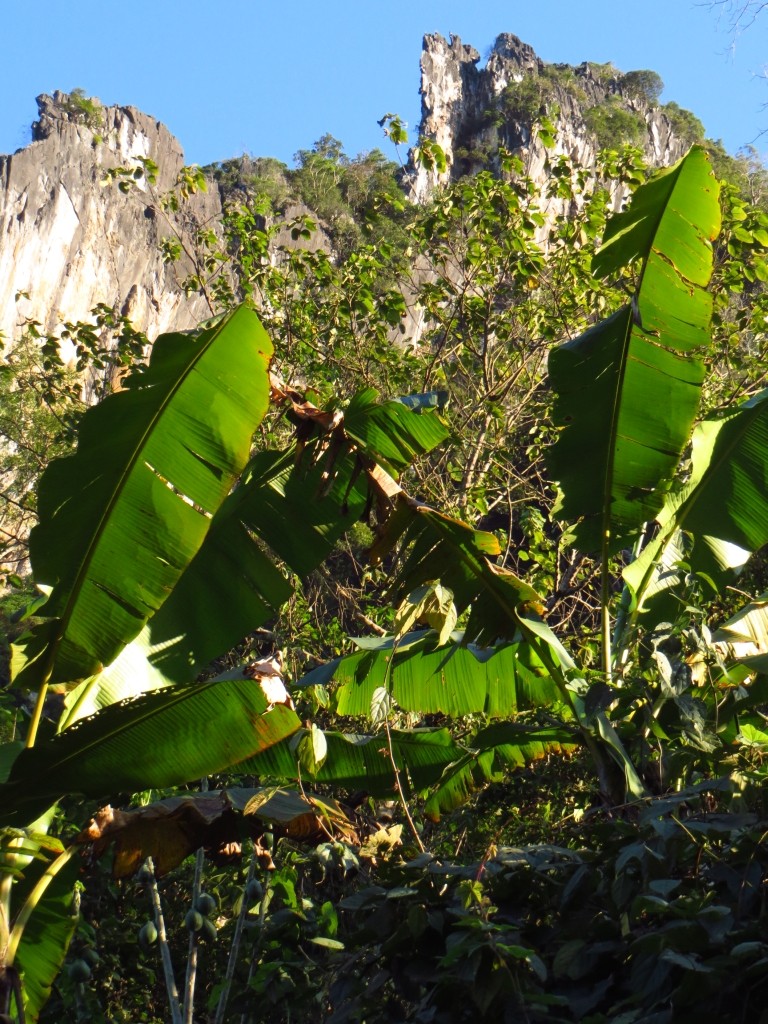 Zdjęcia: Nong Khiaw, Laos północny, spacer brzegiem rzeki Ou, LAOS Zdjęcia: Nong Khiaw, Laos północny, spacer brzegiem rzeki Ou, LAOS