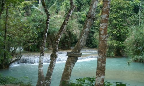 Zdjecie LAOS / ok. Luang Prabank / Kuang Si / Kuang Si