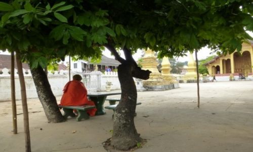Zdjęcie LAOS / Luang Prabang / dziedziniec klasztoru / Samotność 5