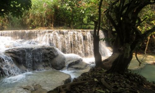 Zdjęcie LAOS / Louangphrabang / Wodospad Kuang Si / ....