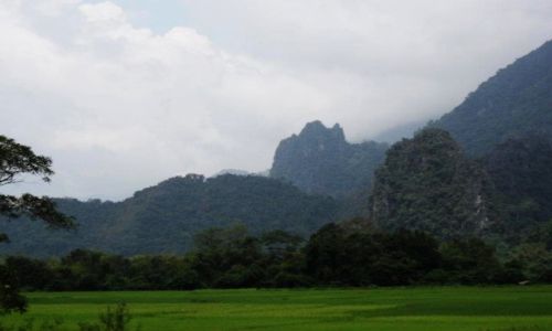 Zdjcie LAOS / tam gdzie rosnie ryz / pole / raj