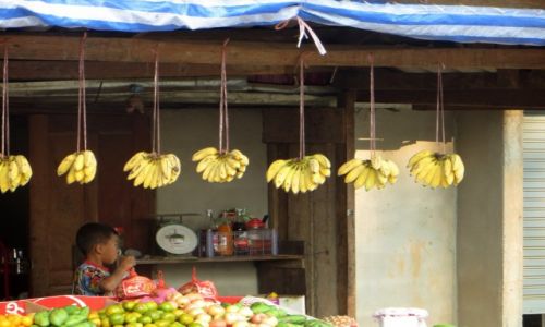 Zdjęcie LAOS / .... / nie pamiętam / Mały sprzedawca owoców