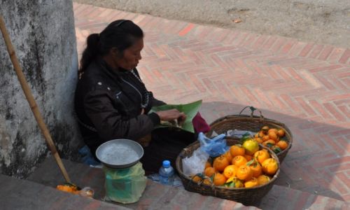 Zdjecie LAOS / pnocny Laos / Louangphrabang / Pomaraczarka