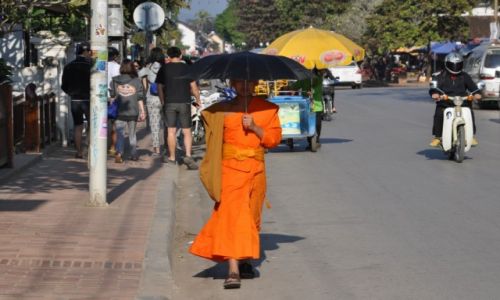 Zdjęcie LAOS / północny Laos / Louangphrabang / Pod parasolem