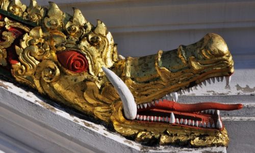 Zdjcie LAOS / pnocny Laos  /  Louangphrabang / i Smok